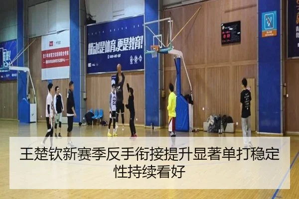 王楚钦新赛季反手衔接提升显著单打稳定性持续看好